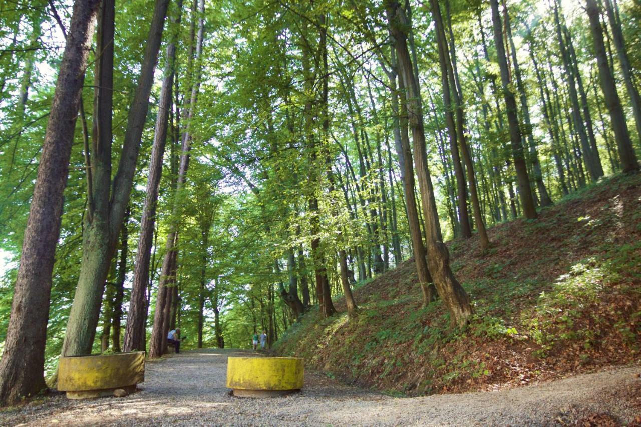 Apartman Nikolic,Banja Vrucica,Teslić Esterno foto